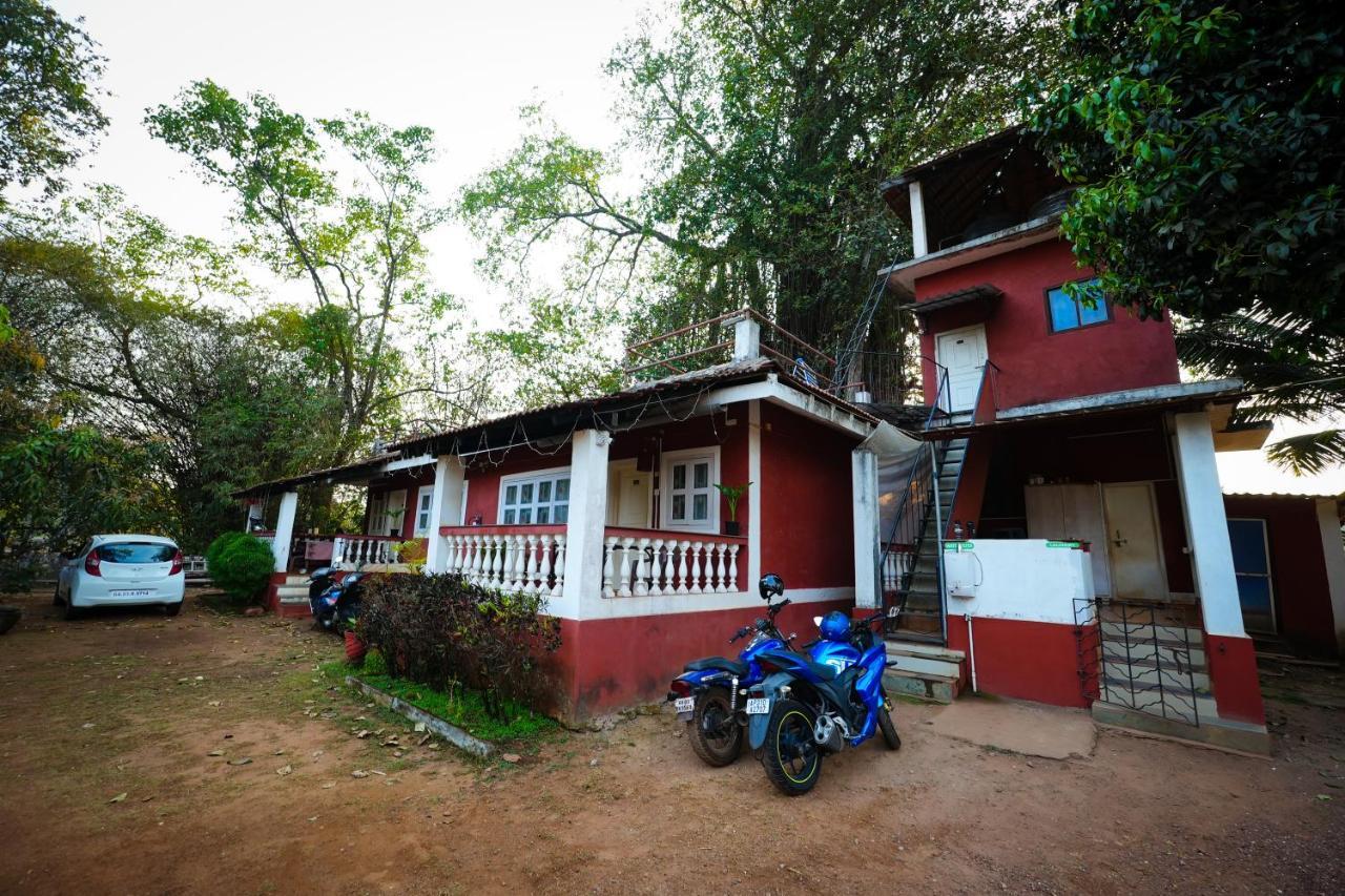 אנג'ונה Nomadgao Vila Nova - Comfort, Great Views, Fast Wifi & Interesting People מראה חיצוני תמונה
