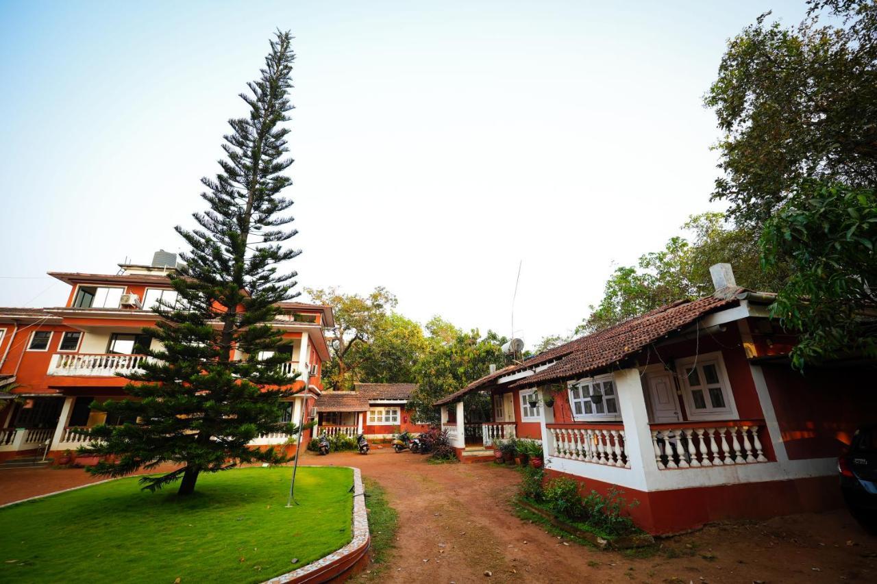 אנג'ונה Nomadgao Vila Nova - Comfort, Great Views, Fast Wifi & Interesting People מראה חיצוני תמונה