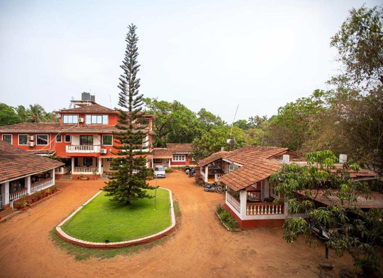 אנג'ונה Nomadgao Vila Nova - Comfort, Great Views, Fast Wifi & Interesting People מראה חיצוני תמונה