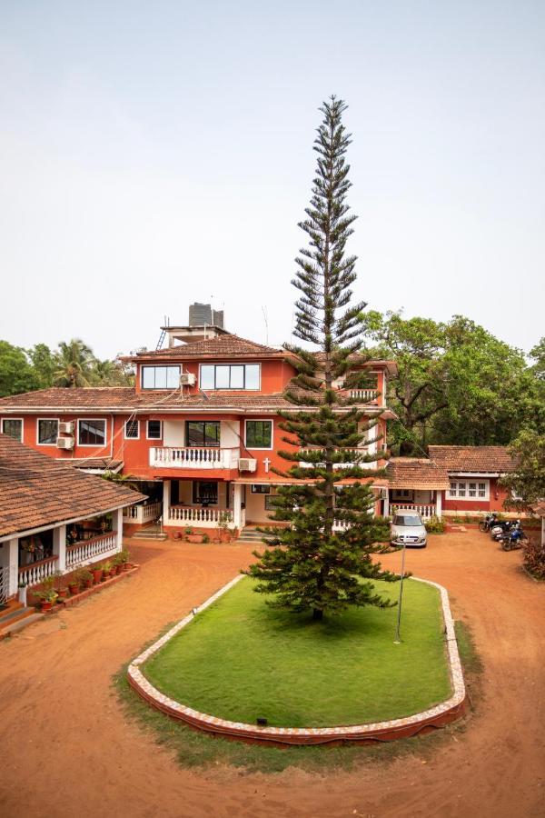 אנג'ונה Nomadgao Vila Nova - Comfort, Great Views, Fast Wifi & Interesting People מראה חיצוני תמונה